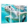 Cuadro Moderno Fotografico base madera, Animal Salvaje Oceano, Tortuga Marina Nadando, Agua