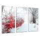 Cuadro Moderno Fotografico base madera, Invierno Blanco Toque Rojo Camino Nieve Bosque, Arbol