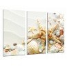 Cuadro Moderno Fotografico base madera, Arena Playa con Estrella  de Mar, Conchas Caracolas, Bano