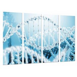 Cuadro Moderno Fotografico base madera, Biologia, Ciencia, Cromosoma, Cadena ADN Azul Blanco