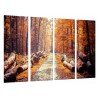 Cuadro Moderno Fotografico base madera, Bosque Otono, Camino Troncos, Naturaleza, Marrones