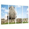 Cuadro Moderno Fotografico base madera, Decoracion Infantil Nina Animal Elefante, Amistad Cielo