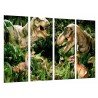 Cuadro Moderno Fotografico base madera, Naturaleza Salvaje Dinosaurios Bosque, Rex Velociraptor