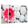 Cuadro Moderno Fotografico base madera, Minimalista, Zen Relax Piedras Flor Rosa, Petalos Fucsia