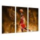 Cuadro Moderno Fotografico de madera, Deporte, Baloncesto, Chicago bull, Jordan, 23, NBA, Nike