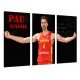 Cuadro Moderno Fotografico de madera, Deportes, Baloncesto, Pau Gasol