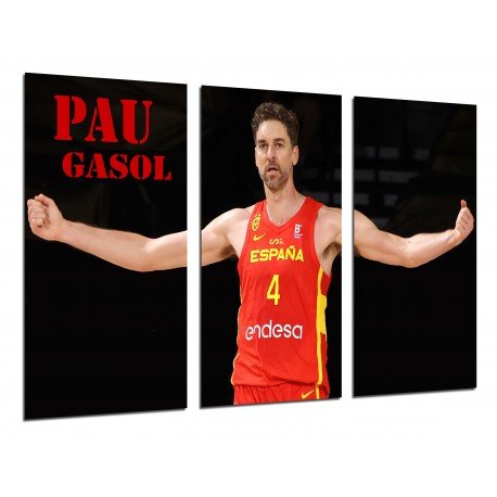 Cuadro Moderno Fotografico de madera, Deportes, Baloncesto, Pau Gasol