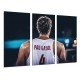 Cuadro Moderno Fotografico de madera, Deportes, Baloncesto, España, Pau Gasol