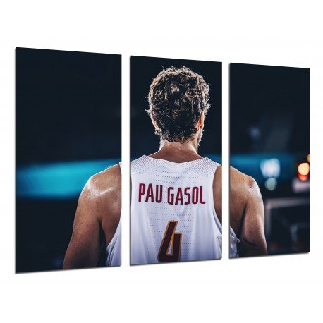 Cuadro Moderno Fotografico de madera, Deportes, Baloncesto, España, Pau Gasol