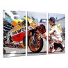 Cuadro Moderno Fotografico de madera, Deportes, Moto Gp, Marck Marquez, Moto, flores, Repsol