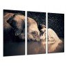 Cuadro Moderno Fotografico de madera, Paisaje, Yoga, conexión naturaleza, Animal, elefante, niña