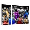 Cuadro Moderno Fotografico de madera, Deporte, baloncesto, leyendas, NBA, blanco y negro, camisetas color