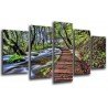 Cuadro Moderno Fotografico base madera, Paisaje Bosque, Parque Nacional de Croacia