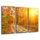 MULTI Wood Printings, Picture Wall Hanging, Landscape Forest Atardecer