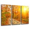 Cuadro Moderno Fotografico base madera, Paisaje Bosque Atardecer