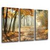 Cuadro Moderno Fotografico base madera, Paisaje Bosque Atardecer
