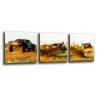 MULTI Wood Printings, Picture Wall Hanging, Paris Dakar, Race Cars in the Desierto