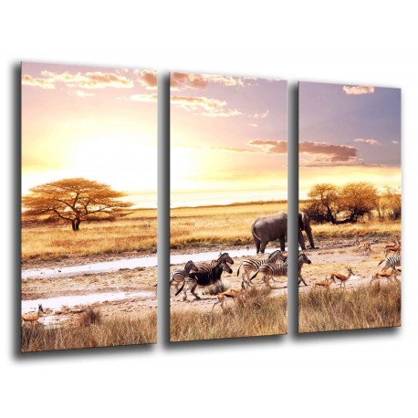 MULTI Wood Printings, Picture Wall Hanging, Sunset in the Desert, Animals Wilds