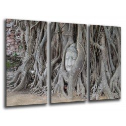 Cuadro Moderno Fotografico base madera, Buda Buddha, relajacion, relax
