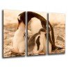 Cuadro Moderno Fotografico base madera, Pinguinos en la Playa, Naturaleza