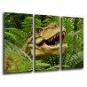 Cuadro Moderno Fotografico base madera, Dinosaurios, T-REX