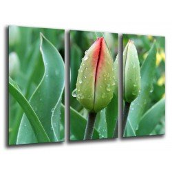 MULTI Wood Printings, Picture Wall Hanging, Flower, Nature