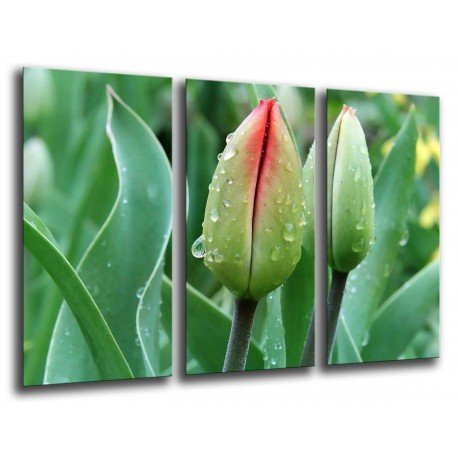 MULTI Wood Printings, Picture Wall Hanging, Flower, Nature