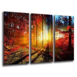 MULTI Wood Printings, Picture Wall Hanging, Landscape Forest Sunset Otono