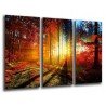 Cuadro Moderno Fotografico base madera, Paisaje Bosque Atardecer Otono