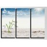 Cuadro Moderno Fotografico base madera, Paisaje Desierto, Dunas