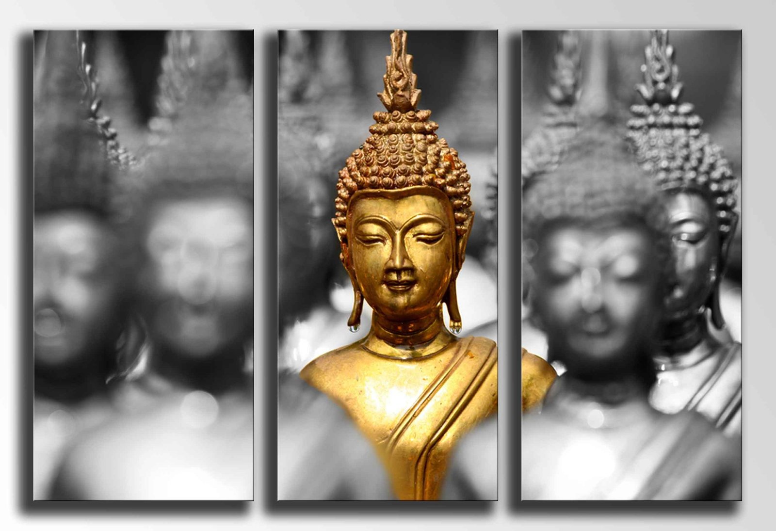Cuadro moderno Buda y cascada