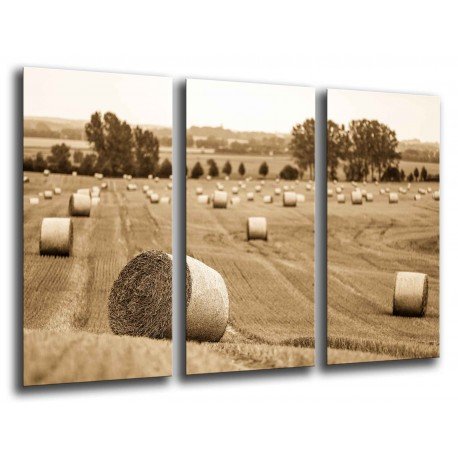 MULTI Wood Printings, Picture Wall Hanging, Landscape Farming Rural