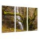 MULTI Wood Printings, Picture Wall Hanging, Forest, Tree, Nature