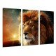 MULTI Wood Printings, Picture Wall Hanging, Lion, Animal, Nature
