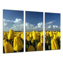 MULTI Wood Printings, Picture Wall Hanging, Land of Tulips Yellows