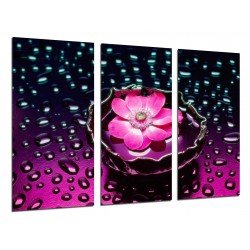 MULTI Wood Printings, Picture Wall Hanging, Petals of Flower, Water, Plantas