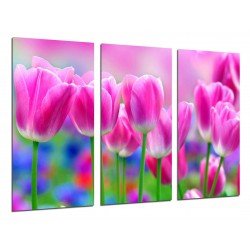 MULTI Wood Printings, Picture Wall Hanging, Land of Tulips Rosas