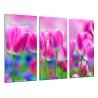 MULTI Wood Printings, Picture Wall Hanging, Land of Tulips Rosas