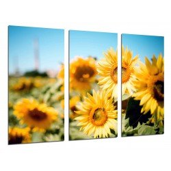 MULTI Wood Printings, Picture Wall Hanging, Land of Sunflowers Yellows