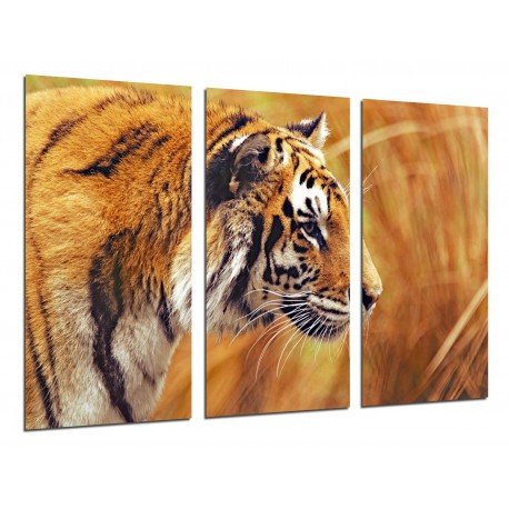 MULTI Wood Printings, Picture Wall Hanging, Lion, Animal, Nature