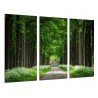 MULTI Wood Printings, Picture Wall Hanging, Forest , House Wood, Arboles