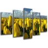 MULTI Wood Printings, Picture Wall Hanging, Land of Tulips Yellows