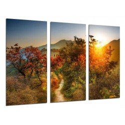 MULTI Wood Printings, Picture Wall Hanging, Landscape Forest Atardecer