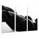 Cuadro Moderno Fotografico base madera, Mujer chica Sexy, Sensual, Desnudo