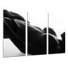 Cuadro Moderno Fotografico base madera, Mujer chica Sexy, Sensual, Desnudo