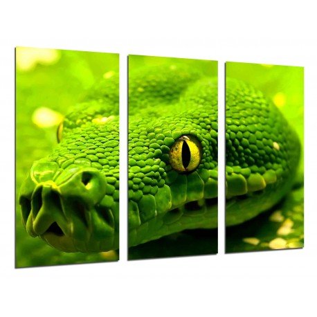 Cuadro Moderno Fotografico base madera, Naturaleza Salvaje, Serpiente Verde