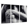 Cuadro Moderno Fotografico base madera, Mujer chica Sexy, Sensual, Desnudo