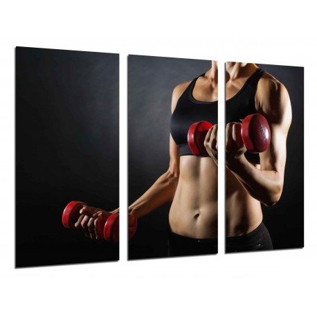 Cuadro Moderno Fotografico base madera, Motivacion Fitness, Gimnasio