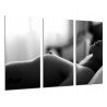 Cuadro Moderno Fotografico base madera, Mujer chica Sexy, Sensual, Desnudo