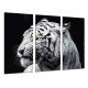 MULTI Wood Printings, Picture Wall Hanging, Nature Animals Wilds